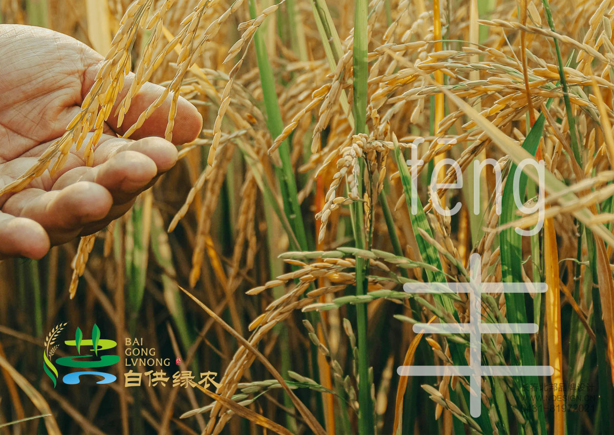 綠色品牌設計,農(nóng)業(yè)品牌設計,公共品牌設計,公共品牌注冊